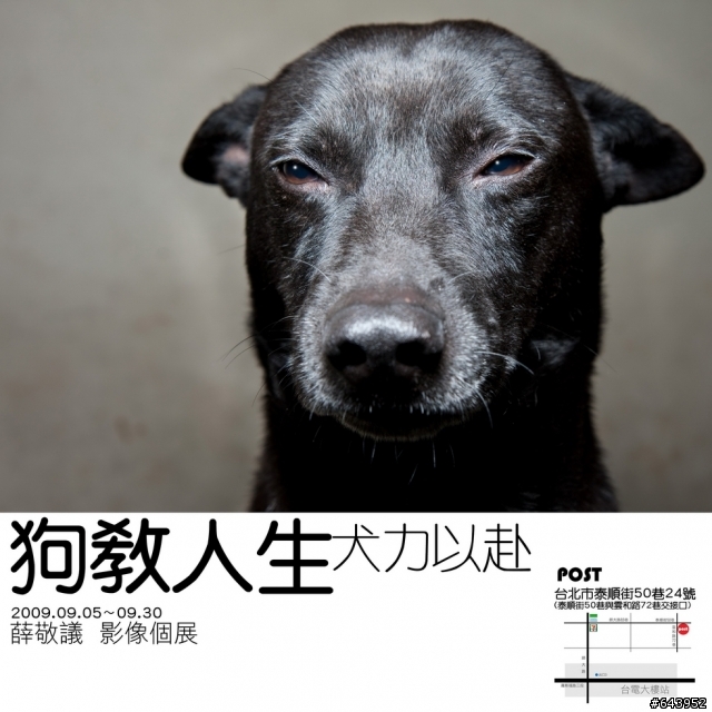 【展覽】狗教人生 犬力以赴(更新1111大學網對狗教人生攝影展的報導)