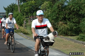 無車日活動照片,圖多自行搜尋
