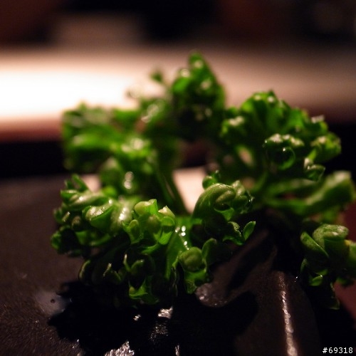 「食」在 GRD III
