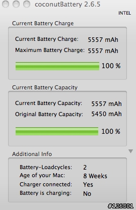 CoconutBattery's Bug?