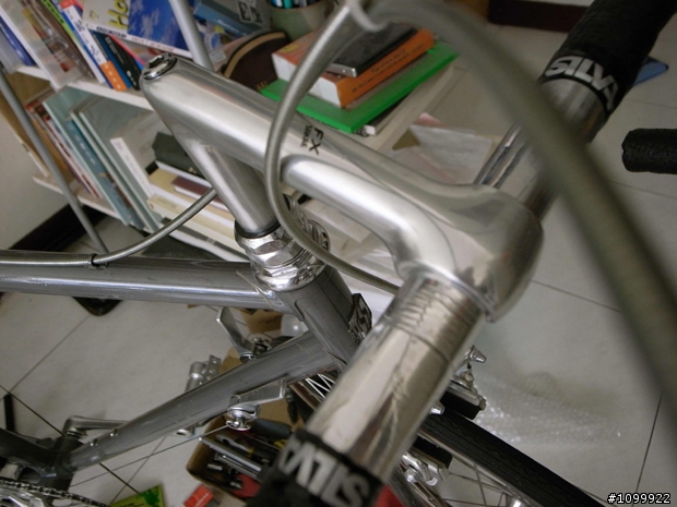 [分享]鋼管車整理練習二部曲  自以為Brompton "清漆版 KHS turbo 渦輪賽車"