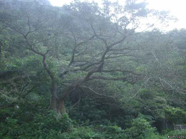 >>瑞芳山城+鐵道之鐵馬行<<