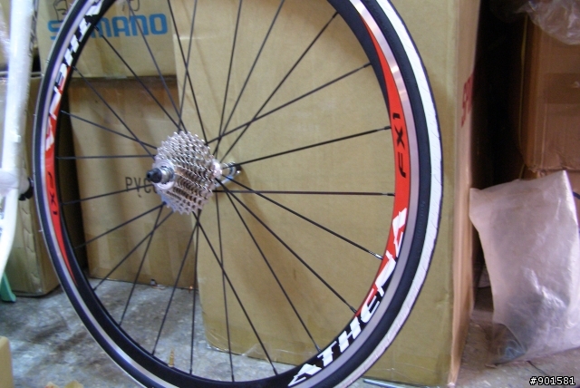 [分享]Kinesis KR-210L 老婆的新戰車～威力非同小可！！