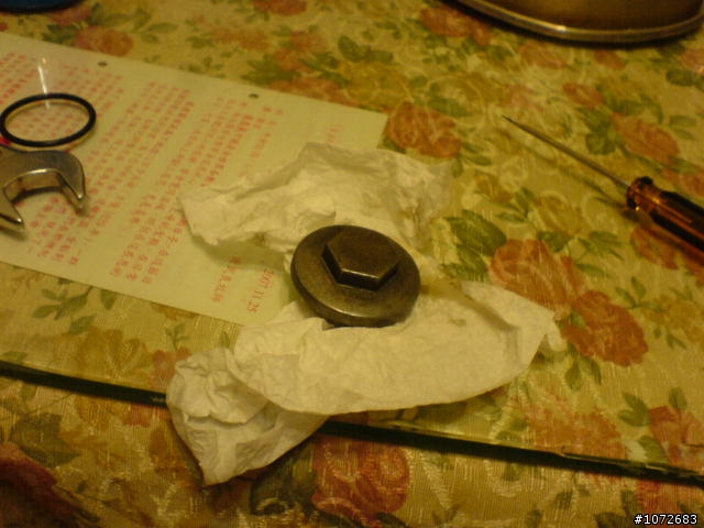 [DIY]更換野狼汽門蓋橡膠環(以更正)