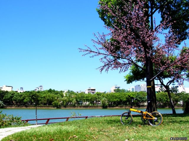 [分享] DAHON VD7 HG + SPEED PRO 遲來的情人節禮物