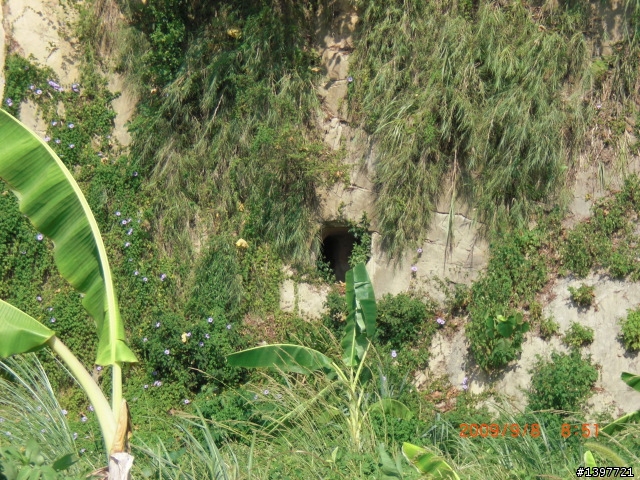 9/8角板山半日遊....差點給它爆肝