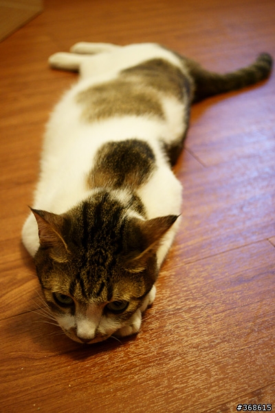 [開箱及分享] Sony DT 30mm F2.8 Marco SAM