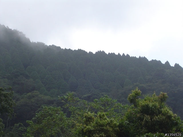 [分享]大雪山林道處女航