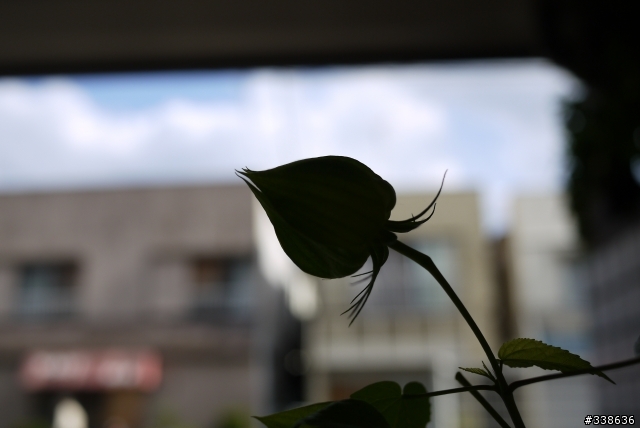 【開箱】GF1