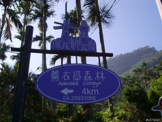 紫色豔遇~來去台中新社找粉味a