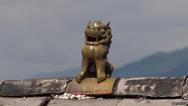 E-P1 + Panasonic 14-140mm 旅拍