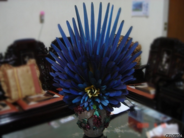 羽毛藝術品