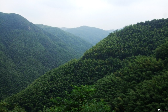 摩根單騎之寧波山路