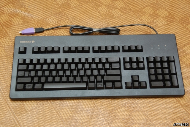 踏入松鼠&蛇界的第一步~Cherry與Razer的相遇