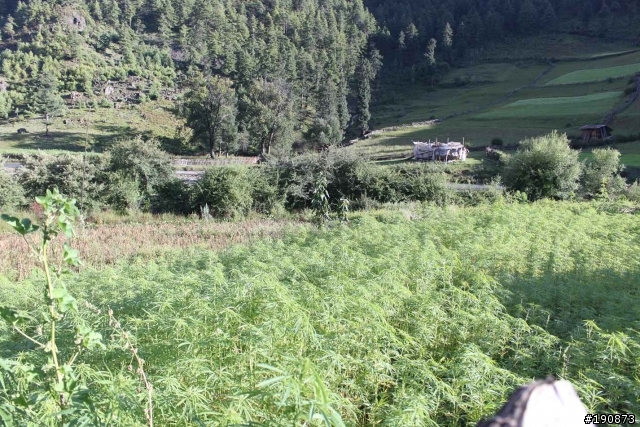[遊記] 從地獄走向天堂的路 第七天 雀兒山下 塔斯溝山谷→邛引村