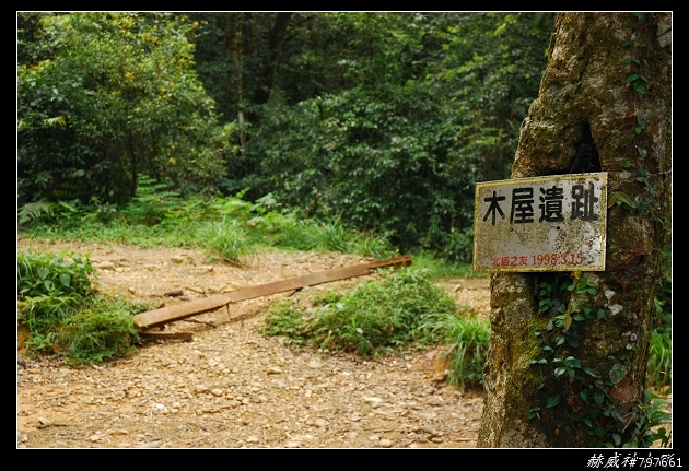 小烏來-赫威神木群