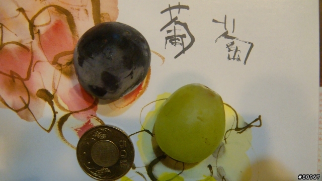 葡萄 @!