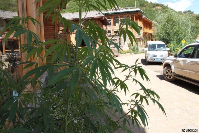 [遊記] 從地獄走向天堂的路 第二天 麗江→瀘沽湖
