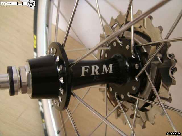 帝王鈦鳥  Birdy Ti Campy Record