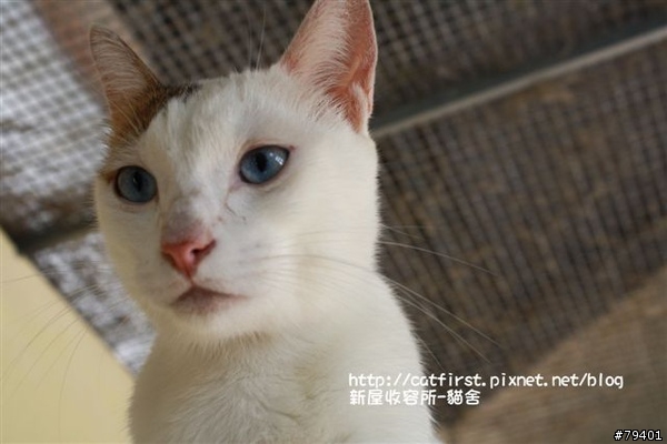 新屋收容所