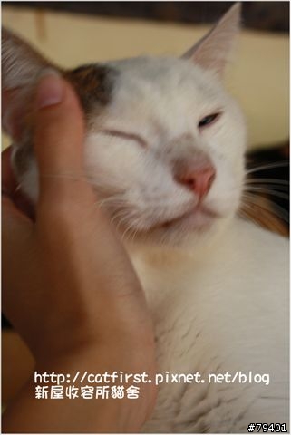 新屋收容所