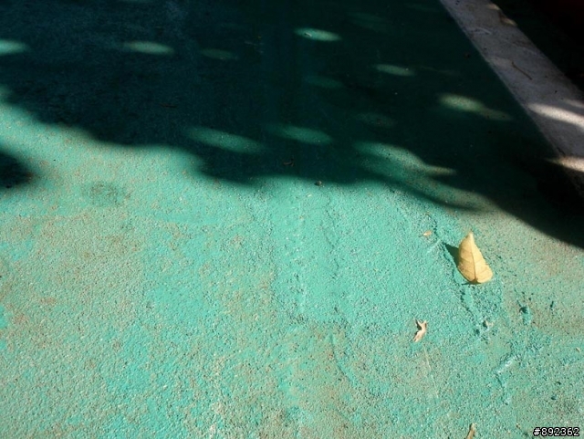 敦化自行車道路面鋪漆未乾! Birdy愛車受難!