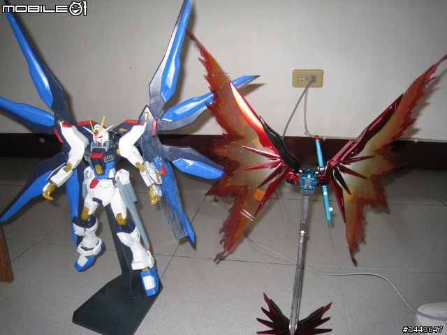 分享-自製MG命運光之翼-飛鳥真的怒吼