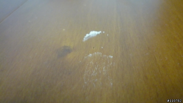 [9/28 Update]裝不到1個月的木地板有蛀蟲該如何處理?
