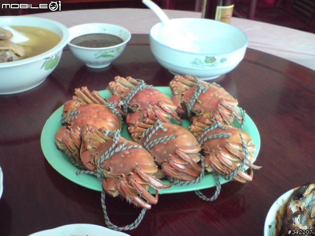 09年九月首發-陽澄胡大閘蟹 陽澄湖蓮花島