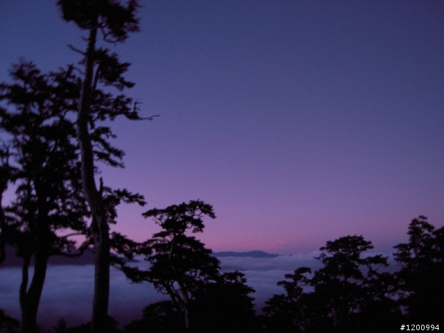 [分享]探路失敗行  不同感受的3275