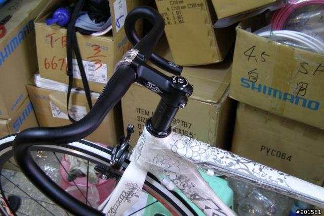 [分享]Kinesis KR-210L 老婆的新戰車～威力非同小可！！