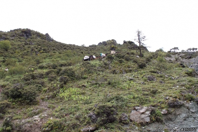 [遊記] 從地獄走向天堂的路 第六天 茨古啞口→雀兒山下 塔斯溝山谷