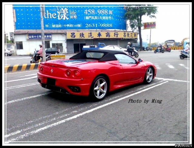 巧遇的馬兒