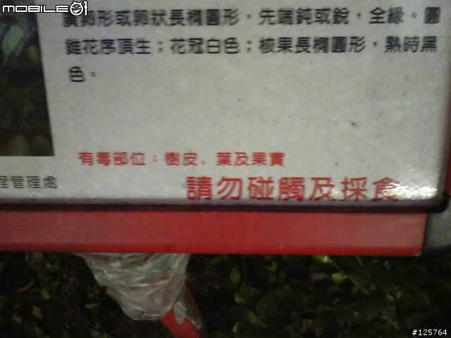 [閒聊]有毒的植物當人行道植栽？