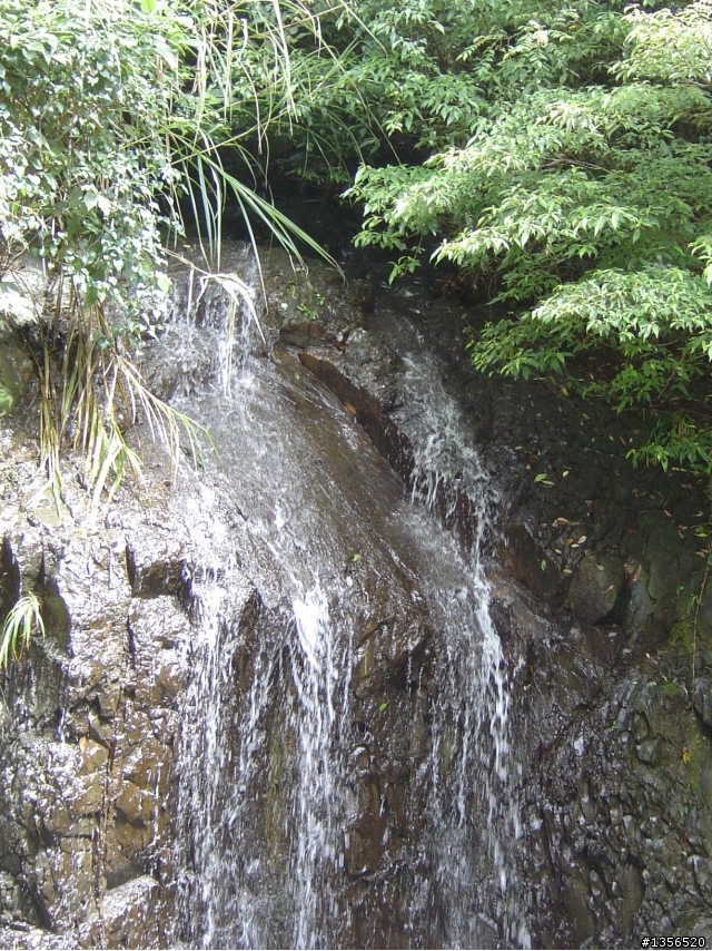 [分享]大雪山林道處女航