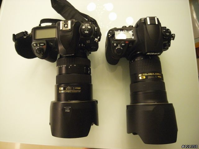 d700+24-70隨性分享