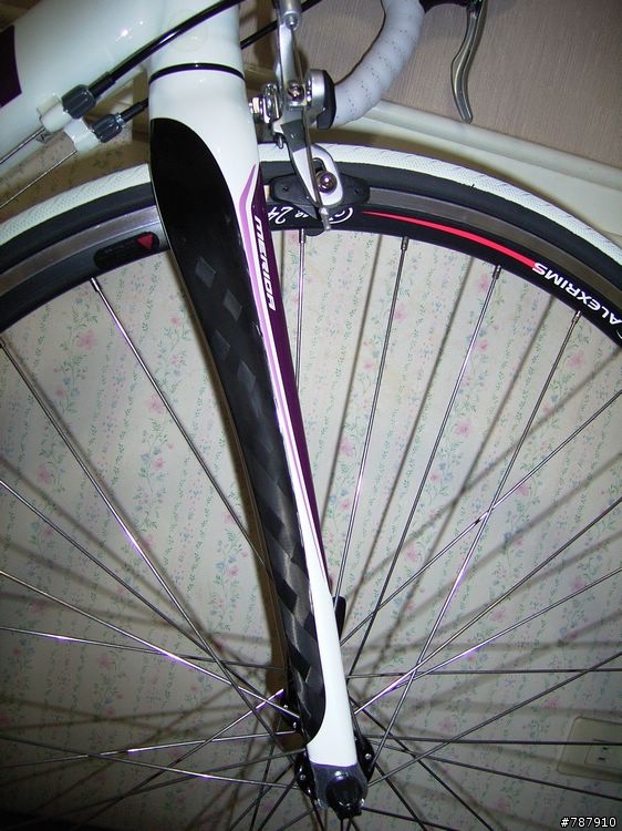 美利達2010年版 Road 901 Juliet 18速公路車 開箱囉！！
