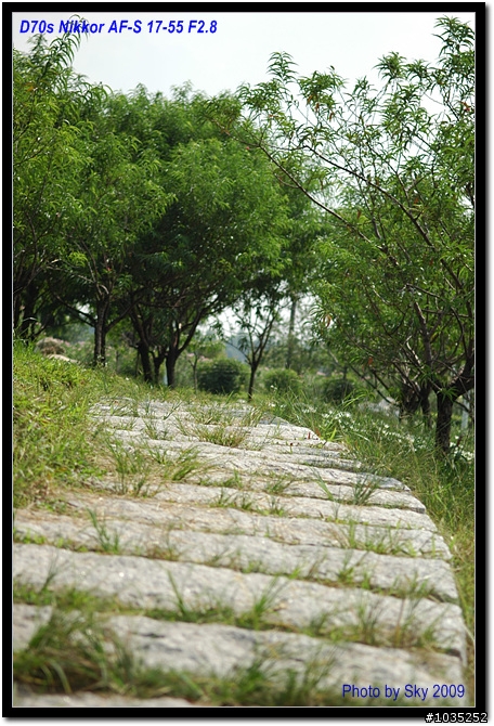 東莞~松山湖~~