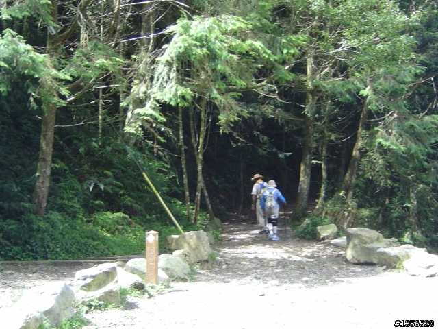 [分享]大雪山林道處女航