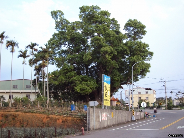 員林鎮 員草路山道