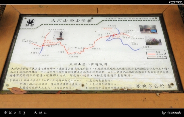 有一等三角點但沒展望的--大棟山