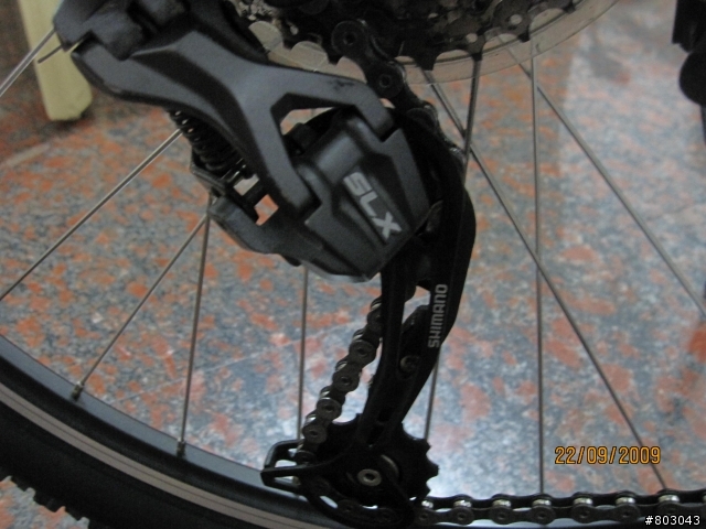 分享2009年GIANT IGUANA DISC登山車