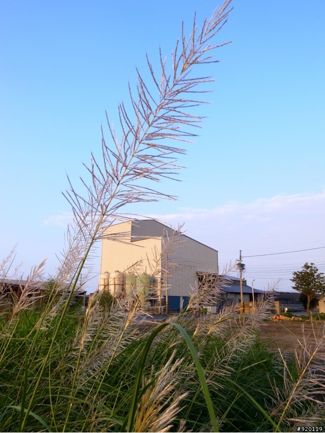 GRDIII 試用