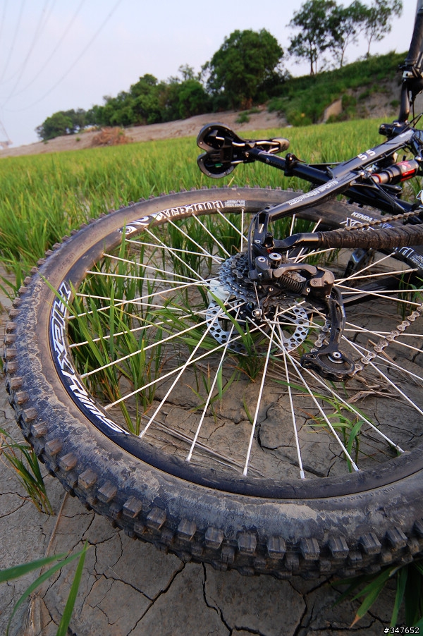 Proflex ENDURO Core7