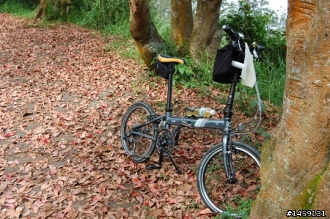 2009日月潭泳渡+環潭by bike