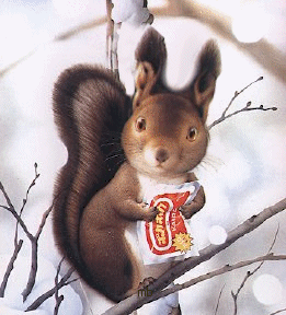 求助 Panasonic 字型