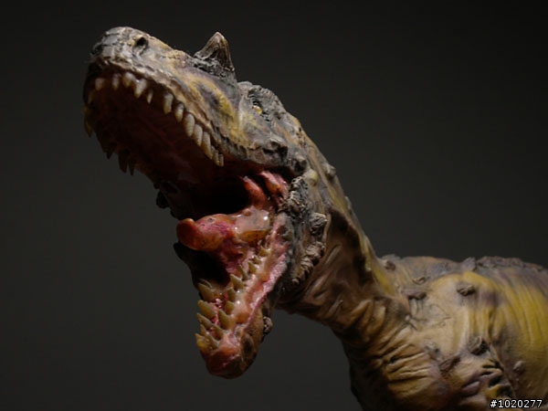[老作新拍]古生物模型---滑齒龍 異特龍