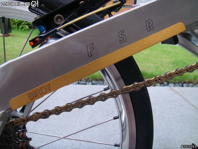 帝王鈦鳥  Birdy Ti Campy Record