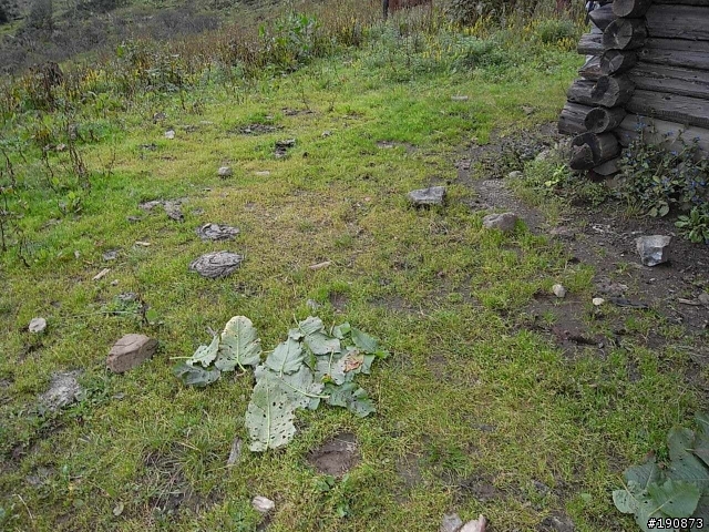 [遊記] 從地獄走向天堂的路 第五天 屋腳蒙古鄉→茨古啞口