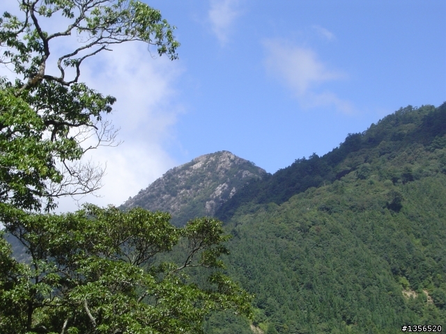 [分享]大雪山林道處女航